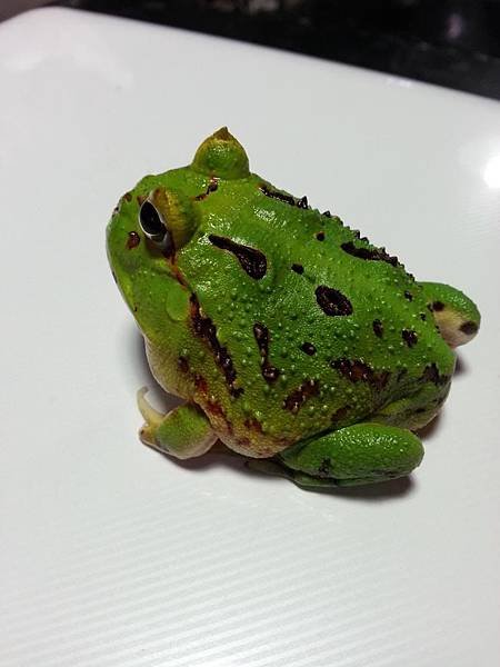 20121224_170519_zps3b2e74ea.jpg