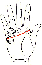 01.gif