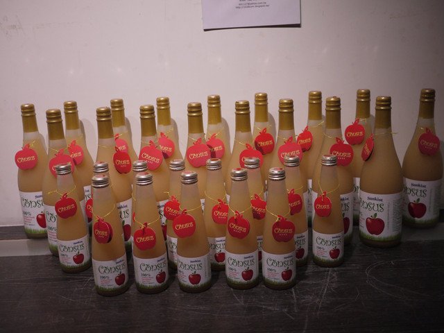 1356056636