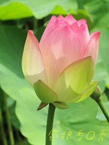 IMG_5607