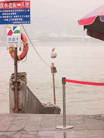 IMG_1399