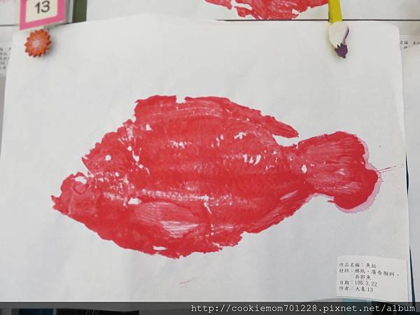 IMG_2230.JPG