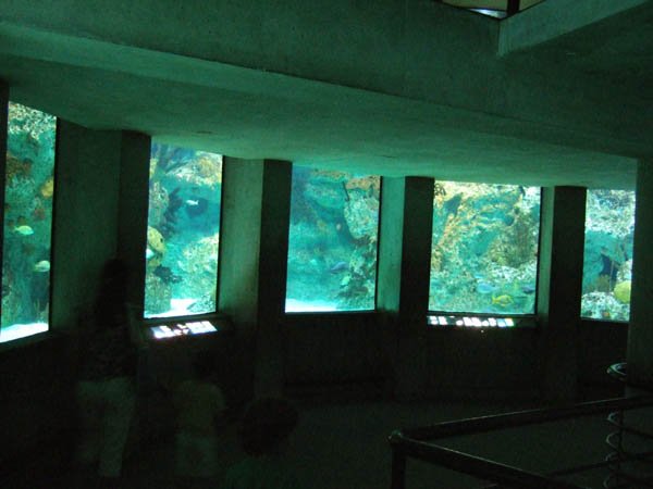 naquarium6.jpg