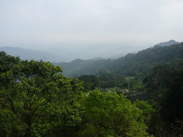 Image00009.jpg