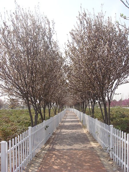 DSC09123.JPG