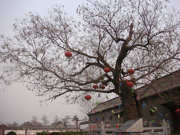 DSC08800.JPG