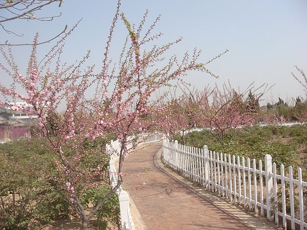 DSC09124.JPG