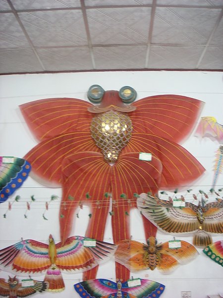 DSC08789.JPG