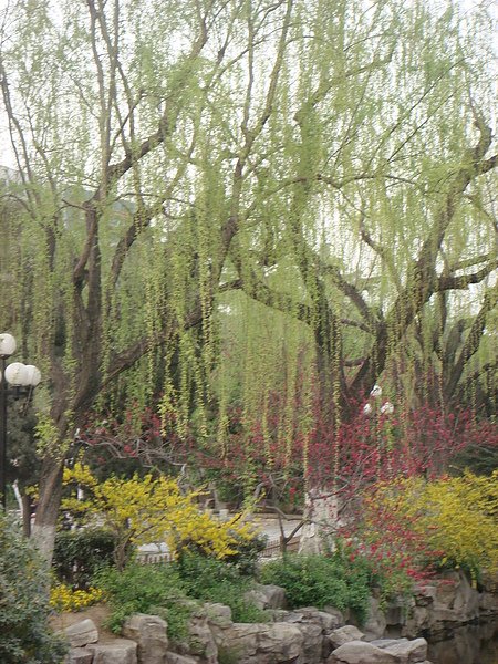 DSC09206.JPG