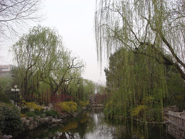 DSC09204.JPG