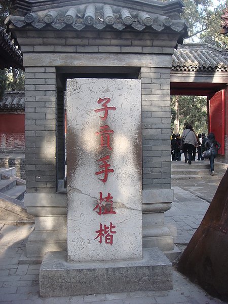 DSC09063.JPG