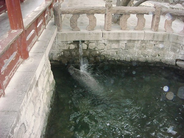 DSC09187.JPG