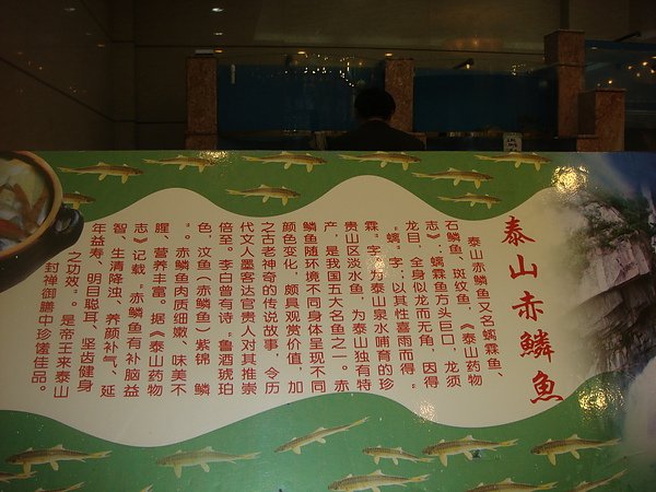 DSC08920.JPG