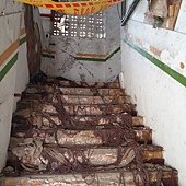 DSC01526.JPG