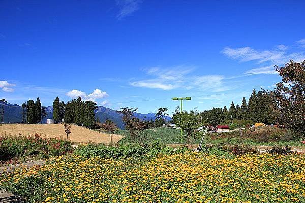 福壽山農場