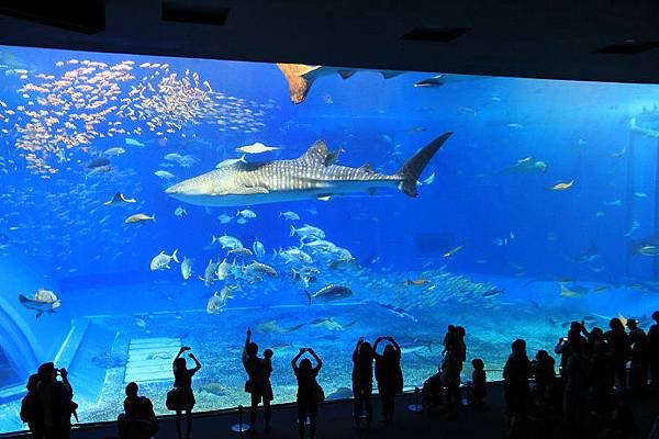 海洋博記念公園