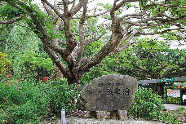 王國村-玉泉洞