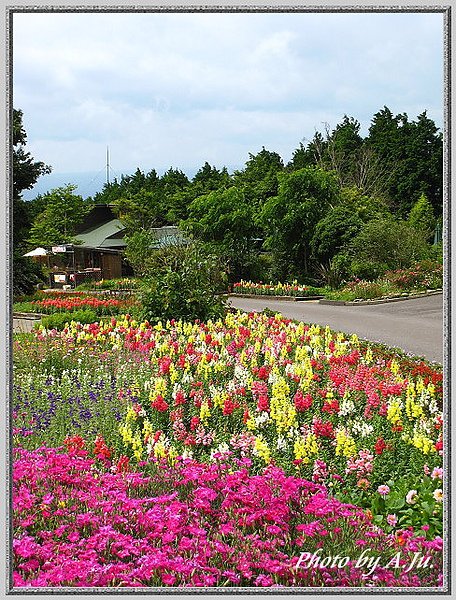 九重花公園68.jpg