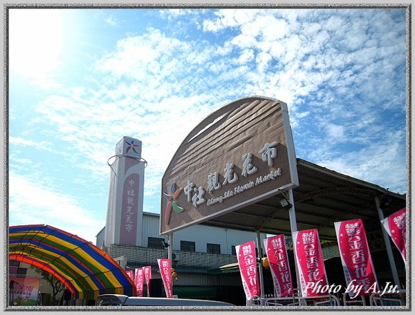 中社觀光花市