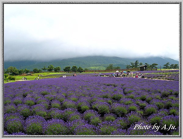 九重花公園45.jpg