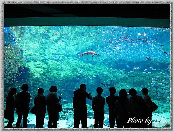 西海國立公園