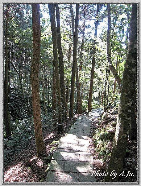 東眼山