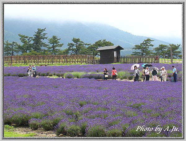 九重花公園46.jpg