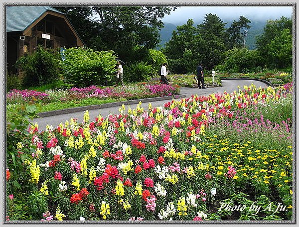 九重花公園62.jpg
