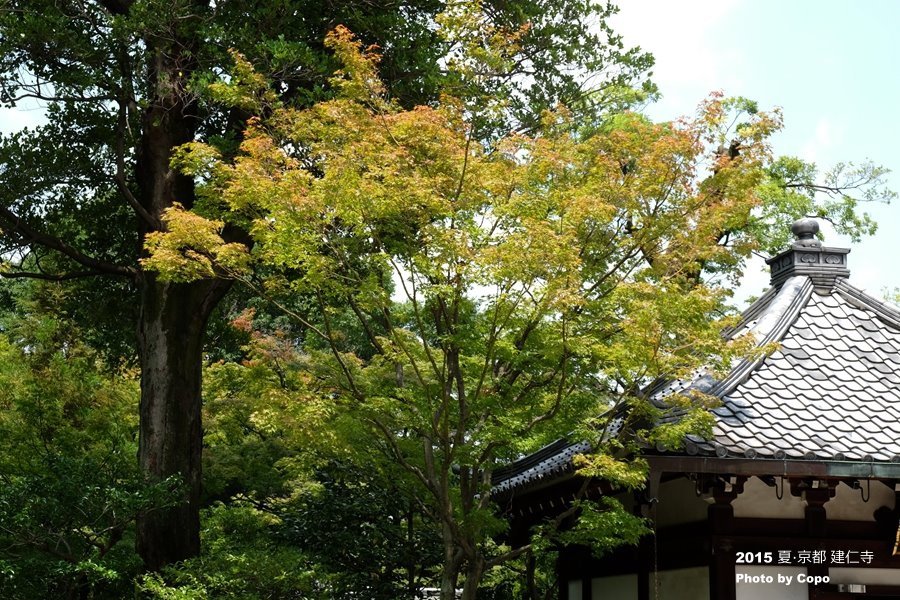 DSCF4023.JPG