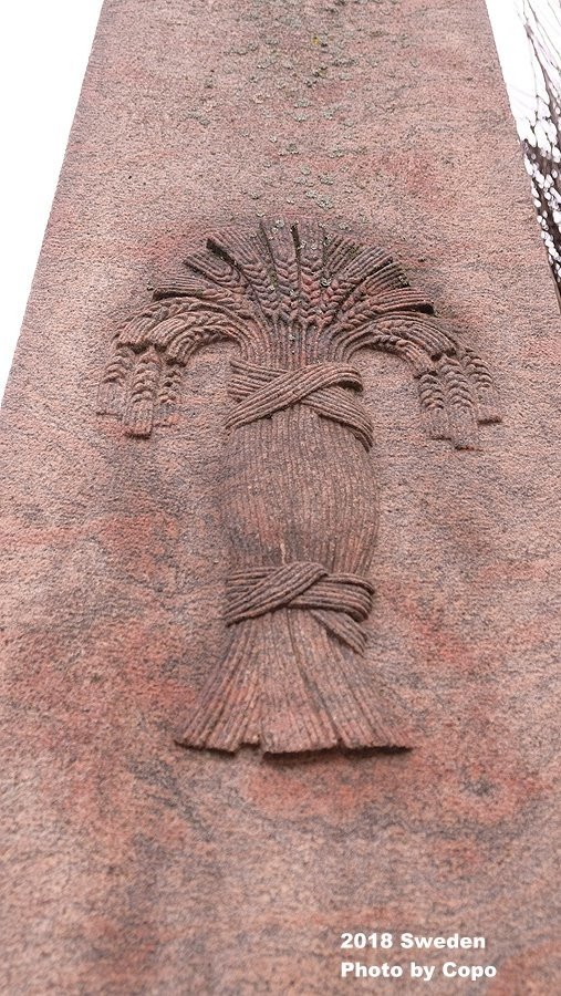 DSCF5981.JPG