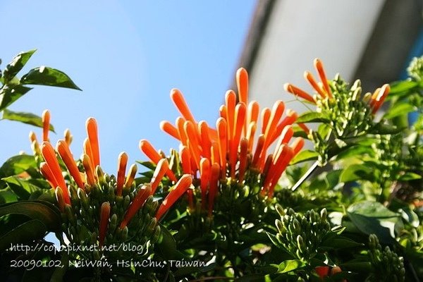 IMG_2890.JPG