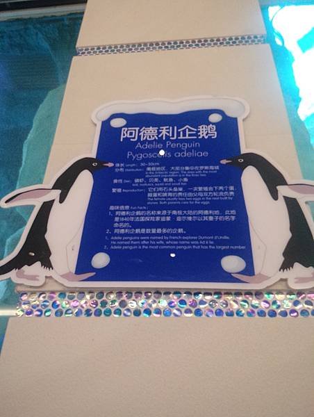 IMG_20190117_082517.jpg
