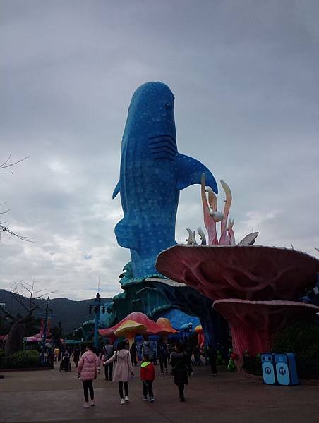 IMG_20190117_114138.jpg