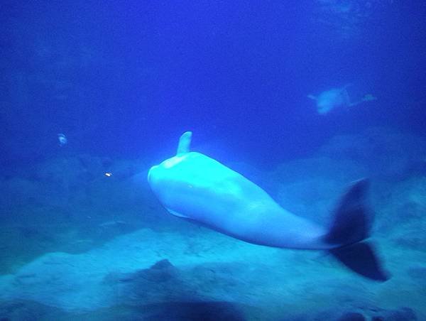 IMG_20190117_143920.jpg