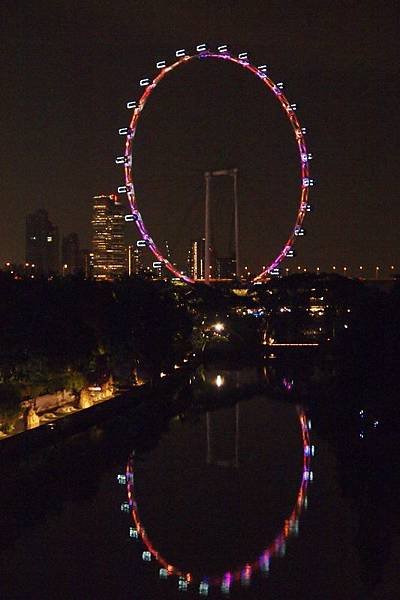 PC114012 (533x800).jpg