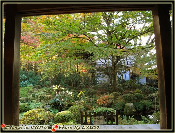 還沒紅還沒紅&gt;&quot;&lt;