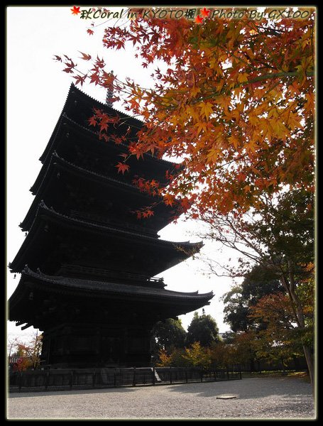 東寺五重塔