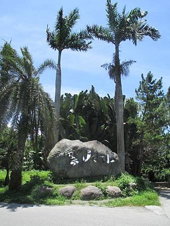 IMG_0377.JPG