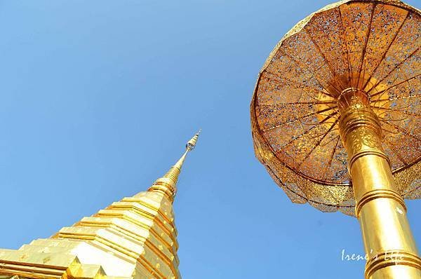 DSC_1424 拷貝.jpg