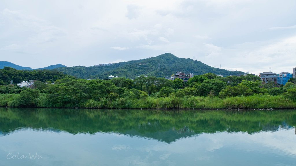 灣潭路上神秘釣魚點.jpg