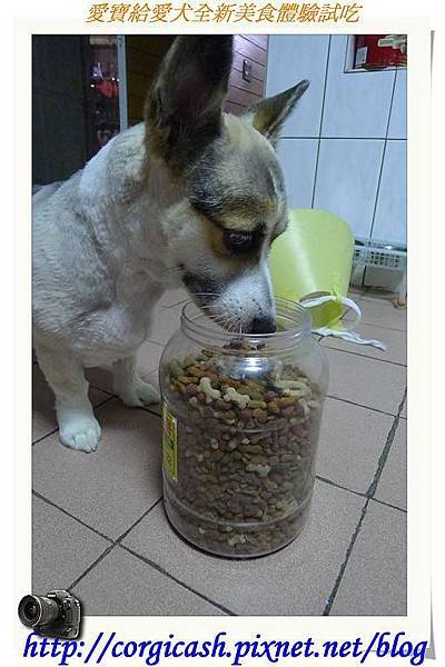愛寶給愛犬全新美食體驗試吃
