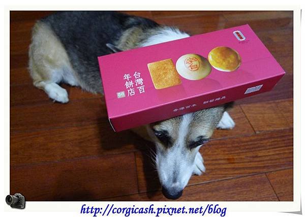 【體驗徵文】花好月圓中秋夜，舊振南百年餅飄香