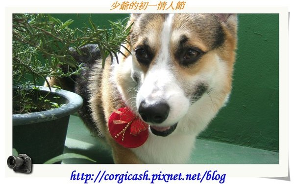 初一錢錢來拜年