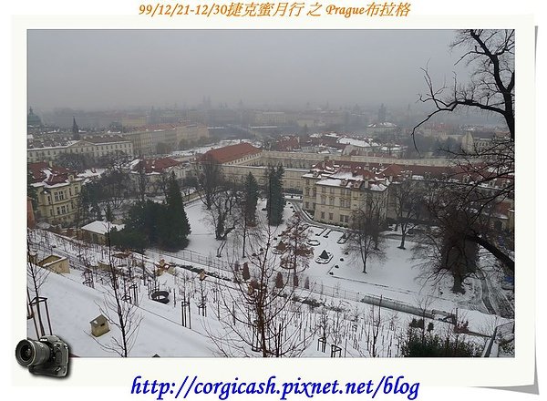 P1000806.jpg