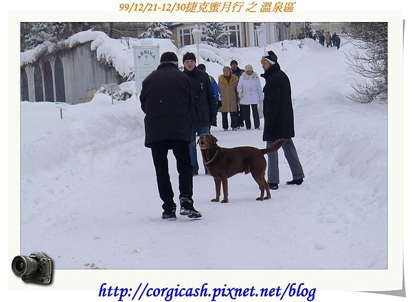 超high的拉拉~愛玩雪球