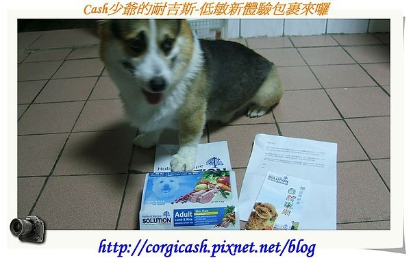 cash少爺的耐吉斯-低敏