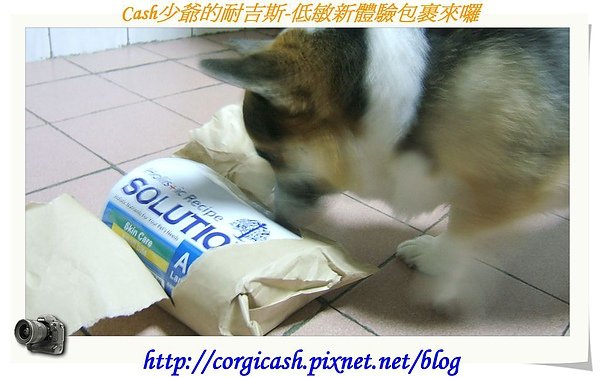 cash少爺的耐吉斯-低敏