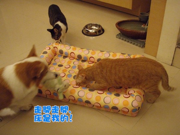 15_PB065338.JPG