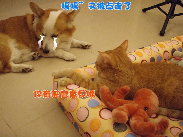 PB065399.JPG