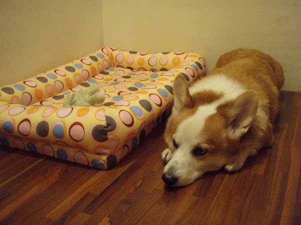 PB075410.JPG